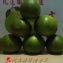 甜葡萄柚1箱(25台斤)免運