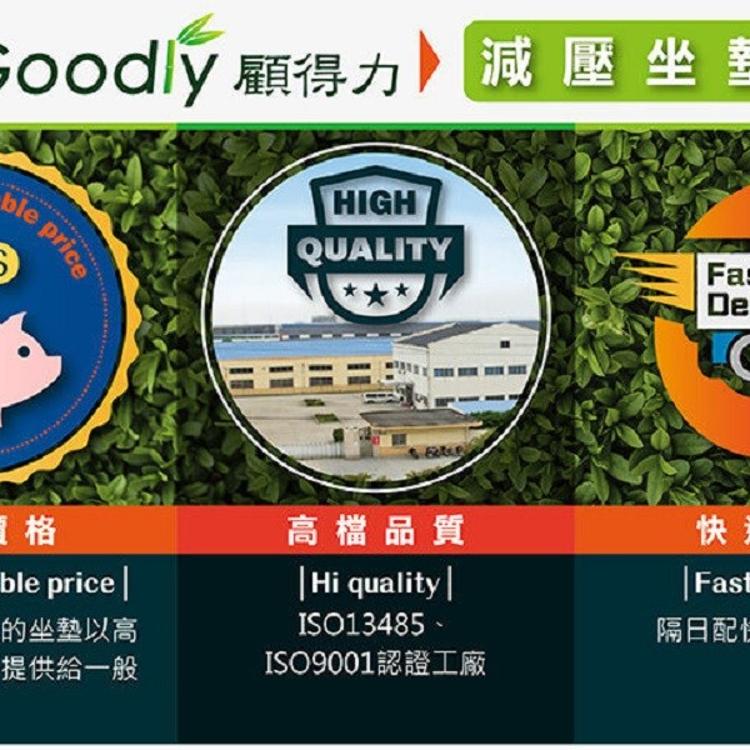 【Goodly顧得力】坐得住 減壓坐墊 連雞蛋都坐不破