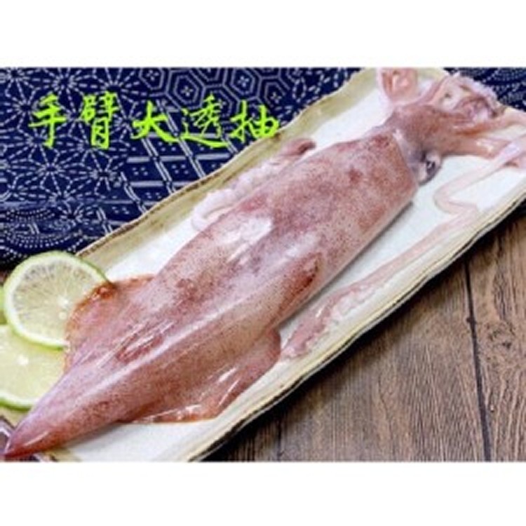 澎湖 手臂大透抽(砲管)