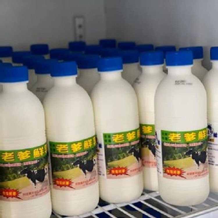 老爹手作製作優格(無糖)--920cc