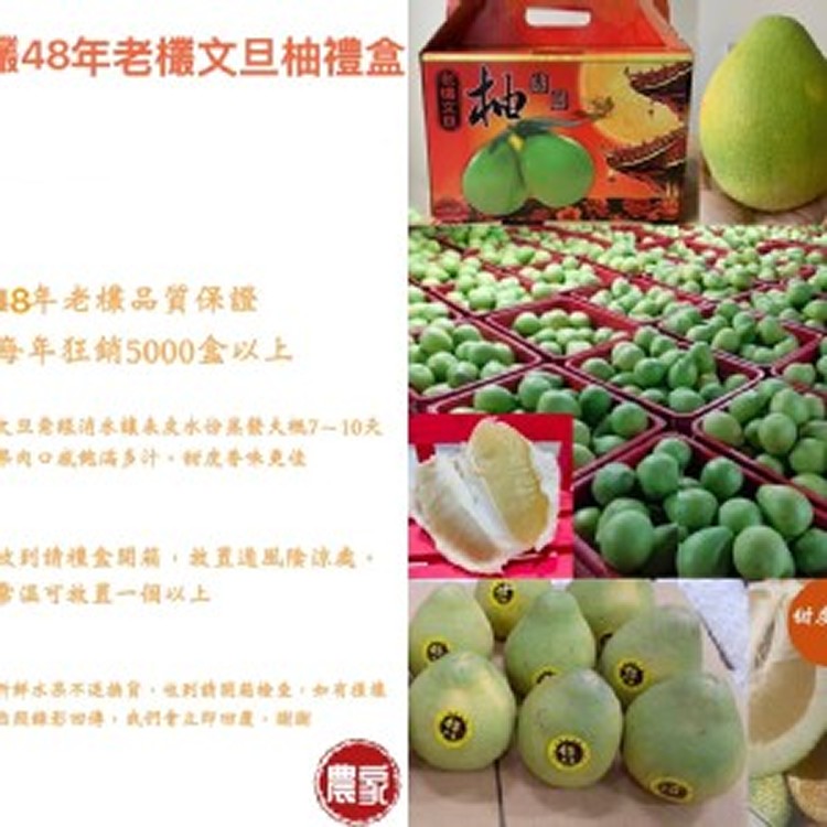 48年老欉文旦5斤