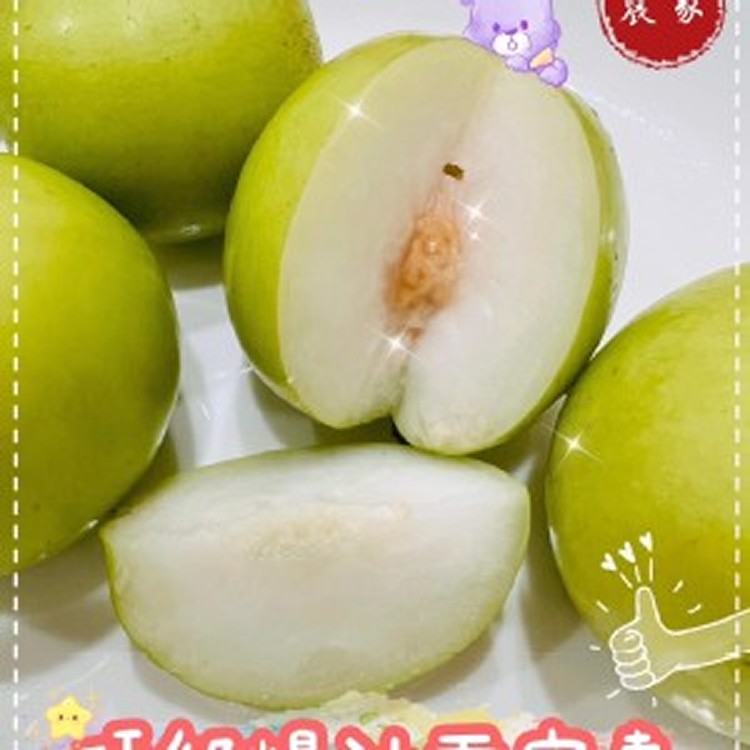 爆汁雪麗牛奶蜜棗禮盒-4斤