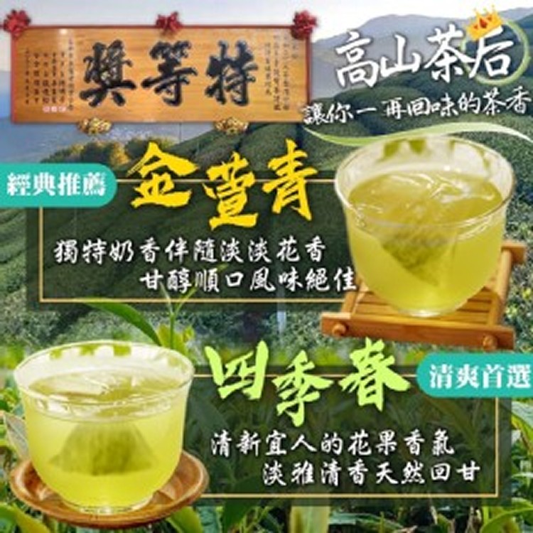 南投松柏嶺 冷泡茶包50入