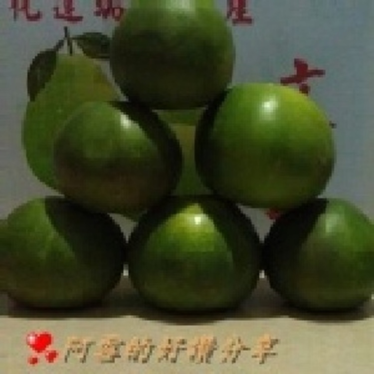 甜葡萄柚1箱(25台斤)免運