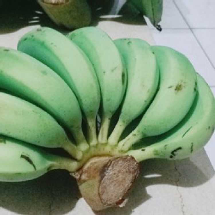 花蓮無毒土蕉(一斤)