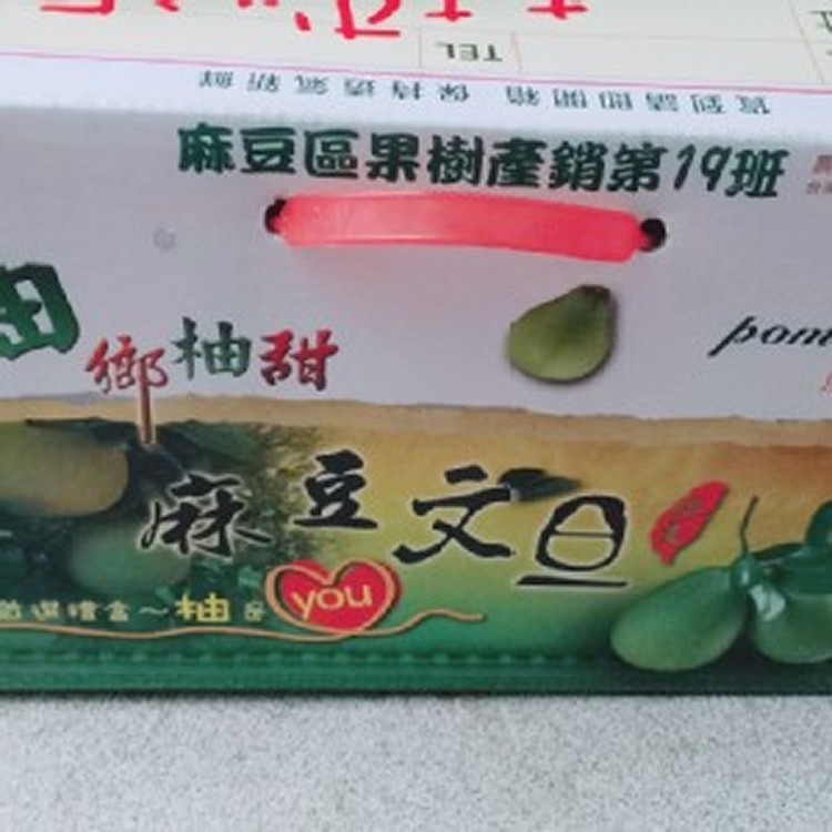 正麻豆產銷班文旦(一箱)