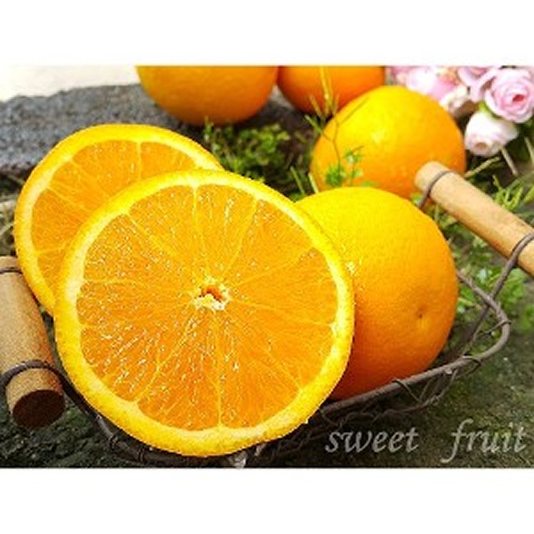 【鮮瑩】無籽甜臍橙 |