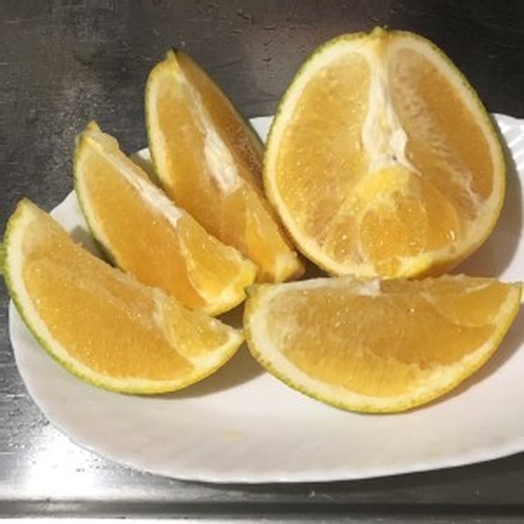 花蓮無毒肚臍橙一袋(3台斤)