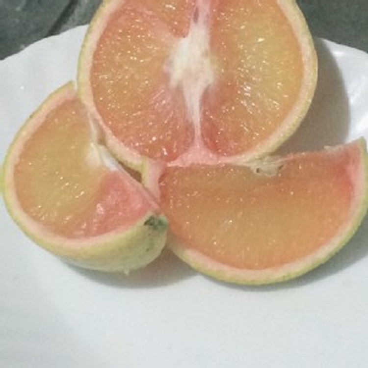 複製1-花蓮無毒紅甜丁一袋(約3台斤)