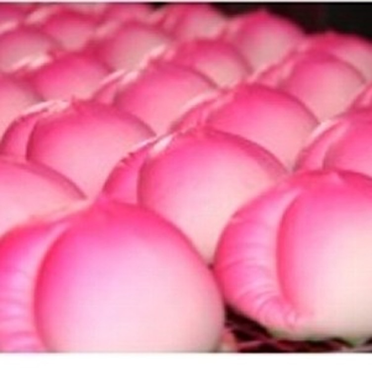 壽桃2個(綠豆沙)