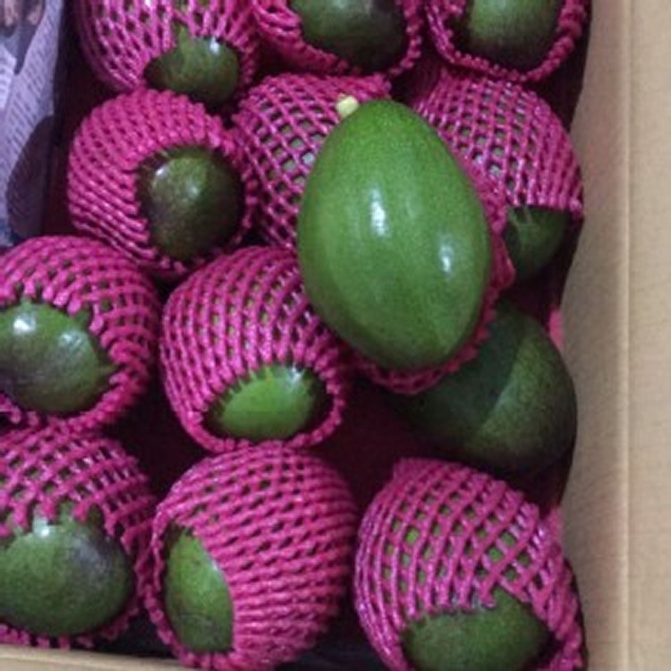 屏東有機酪梨(一顆)大果