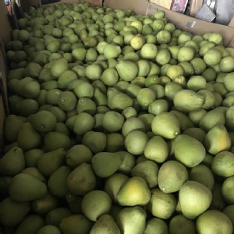 花蓮鶴岡文旦2箱(直接宅配到府)