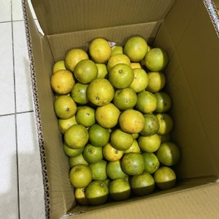 黃肉柳丁一袋(3斤)