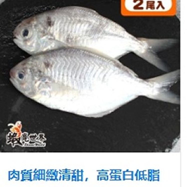 2尾入-海撈肉魚(250g)