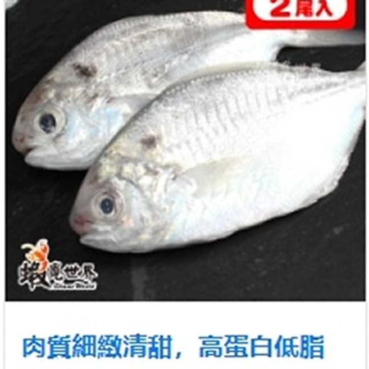 2尾入/海撈肉魚(300g)