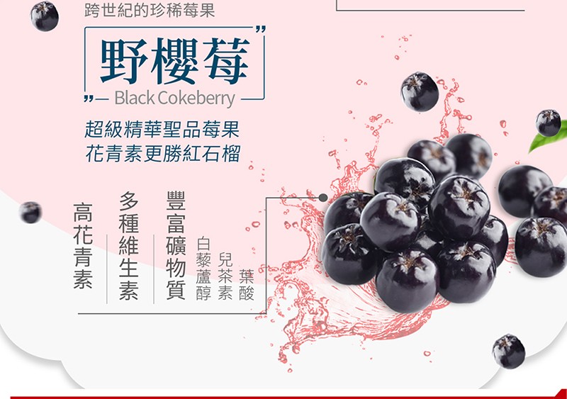跨世紀的珍稀莓果，野櫻莓，超級精華聖品莓果，花青素更勝紅石榴，兒茶素一，白藜蘆醇一，豐富礦物質，多種維生素高花青素。
