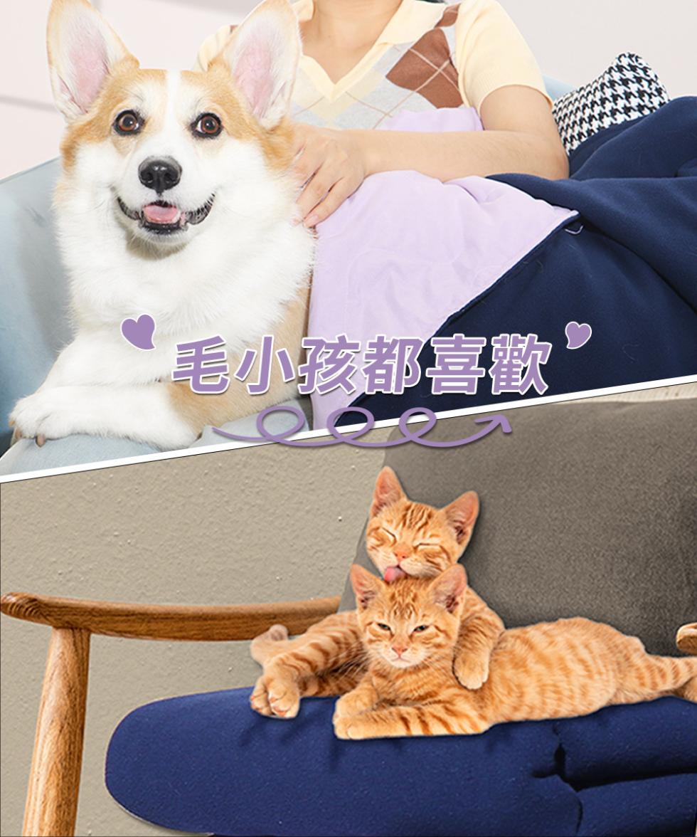 毛小孩都喜歡。