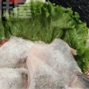 鯛魚下巴