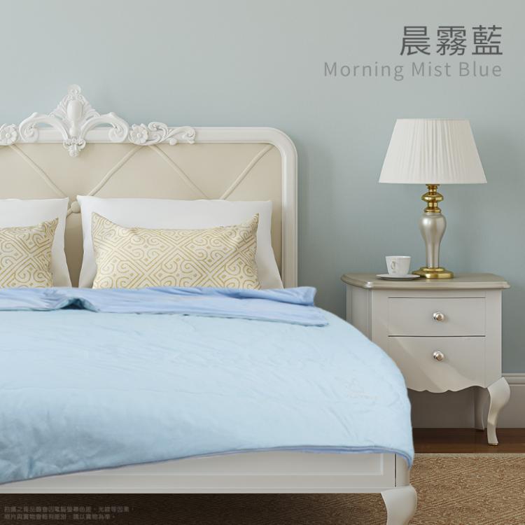 【Sandra仙朵拉】 PLAYBOY 極凍感冰冰被150x200cm/涼被/涼感被/薄被/四季被