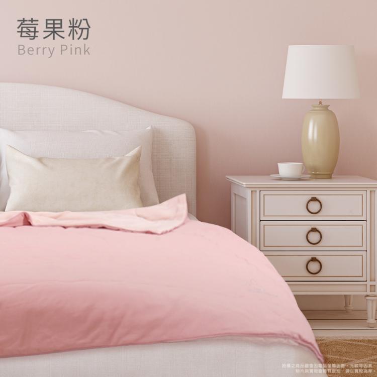 【Sandra仙朵拉】 PLAYBOY 極凍感冰冰被150x200cm/涼被/涼感被/薄被/四季被