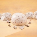 子容 ⊕ 鮮芋饅頭 1袋／6入