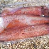 小卷(大)(3~4隻/盒)300g