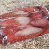 小卷(中)(7~10隻/盒)300g