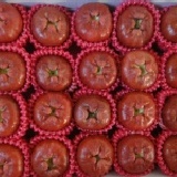 精品特A級 黑珍珠蓮霧 精裝版 (20顆入 ) 產地直送 正宗鹹水地 不怕貨比貨只怕不識貨 特價：$450