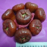 經濟版 鹹水地 特大黑級 黑珍珠蓮霧 經濟版 (24顆入) 產地直送 正宗鹹水地 不怕貨比貨只怕不識貨 特價：$260