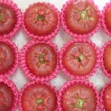 經濟版 精品特A級 黑珍珠蓮霧 經濟版 (20顆入 ) 產地直送 正宗鹹水地 不怕貨比貨只怕不識貨 特價：$380