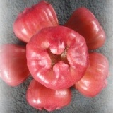 平裝版 中顆黑珍珠 平裝版 22顆 每粒75-99g 實重3.5台斤產地直送 正宗鹹水地 特價：$450