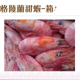 《伊娜廚房》格陵蘭甜蝦一箱