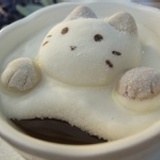 飄浮貓咪棉花糖