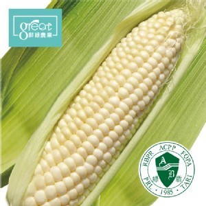 特級水果玉米(5支)
