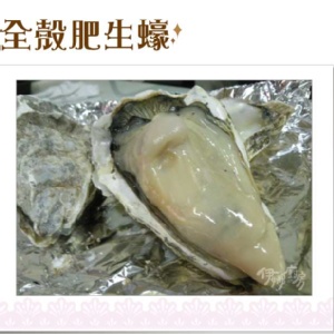全殼肥生蠔