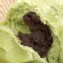 抹茶紅豆(一包5入)