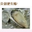 全殼肥生蠔