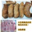 大目鮪魚肚條