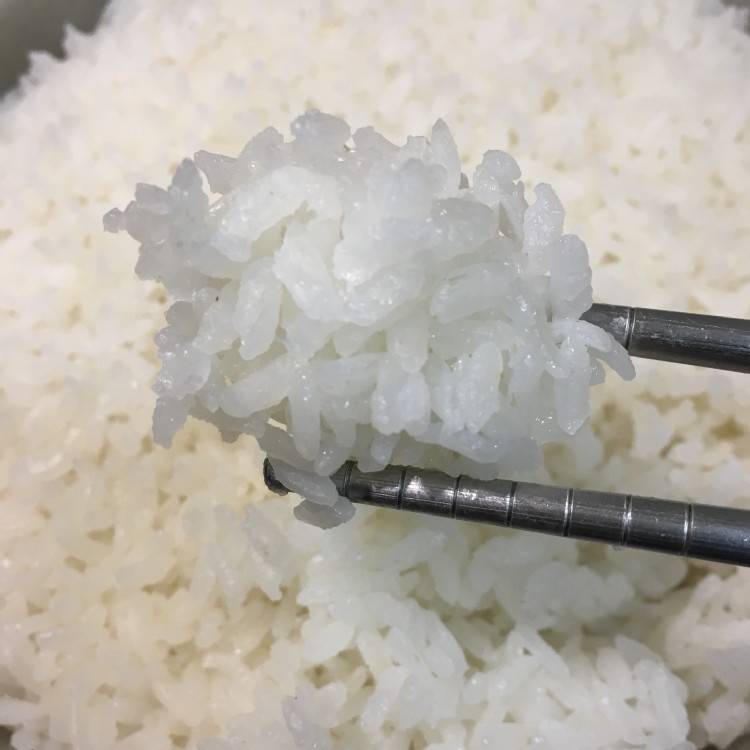 【玉山碾米】吃一口飯照顧地球/碳足跡/溫度米1.5KG/16號米/真空包裝