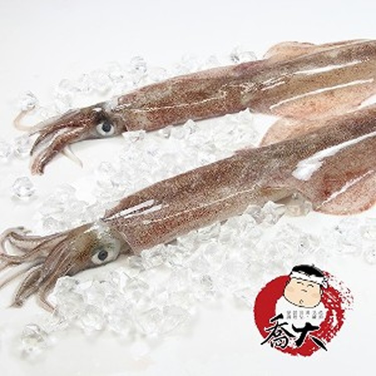 澎湖透抽 400g~500g / 隻