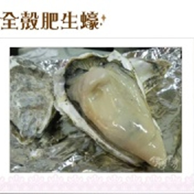 全殼肥生蠔