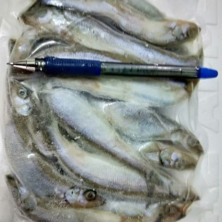 《伊娜廚房》生凍柳葉魚