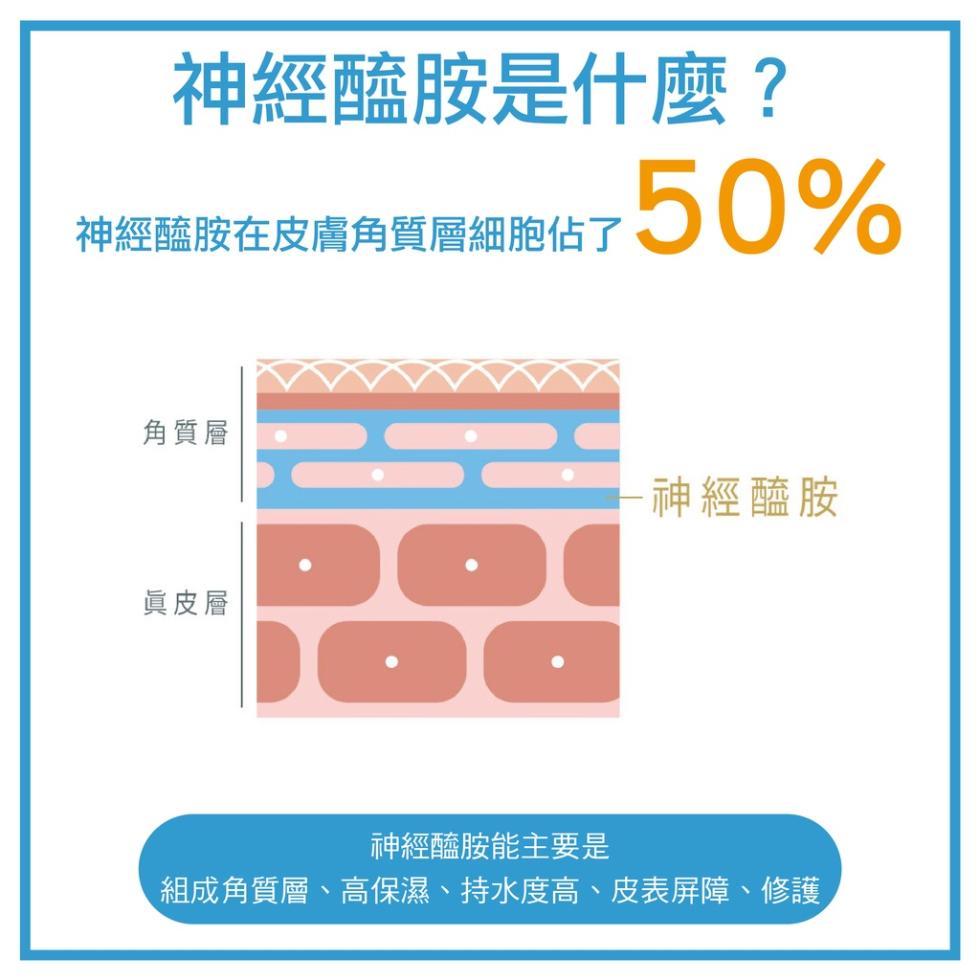 神經醯胺是什麼?神經醯胺在皮膚角質層細胞佔了5，角質層，神經醯胺，眞皮層，神經醯胺能主要是，組成角質層、高保濕、持水度高、皮表屏障、修護、。