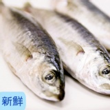澎湖竹筴魚(巴浪)(300g)