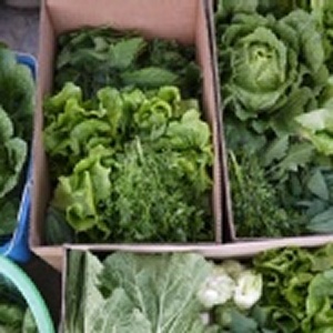 完全無農藥一籃菜 特價：$200