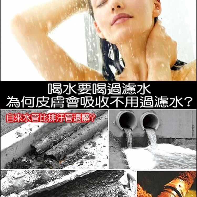 SPA除氯蓮蓬頭(4支入組)