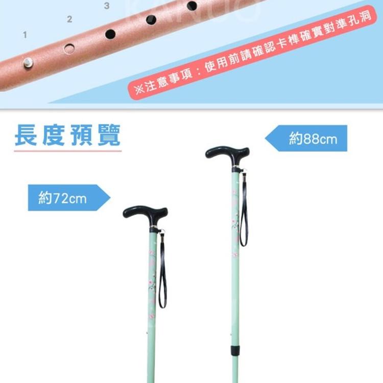 【NorthFox北狐】碳纖維伸縮二節式手杖 (休閒手杖 拐杖 共6種顏色可選)
