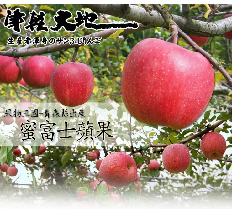 生產者運身のサンCんE,果物王國一青森縣出產,蜜富士蘋果。