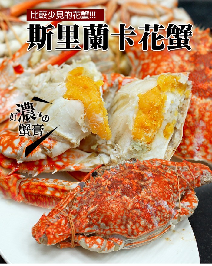 比較少見的花蟹!!!斯里蘭卡花蟹,好反の。