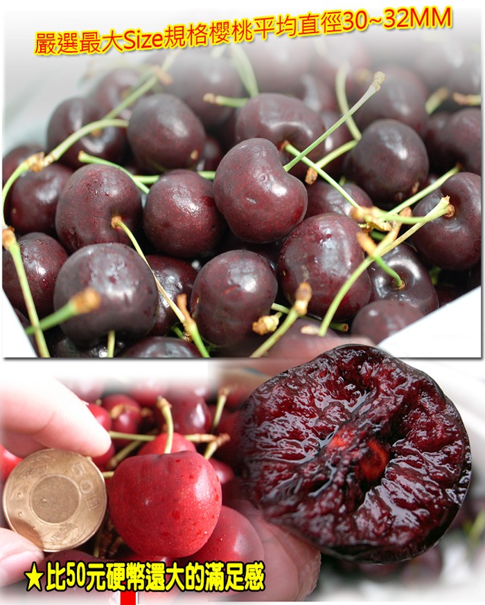 嚴選最大Size規格櫻桃平均直徑30~32MM，大此50元硬幣還大的滿足感。